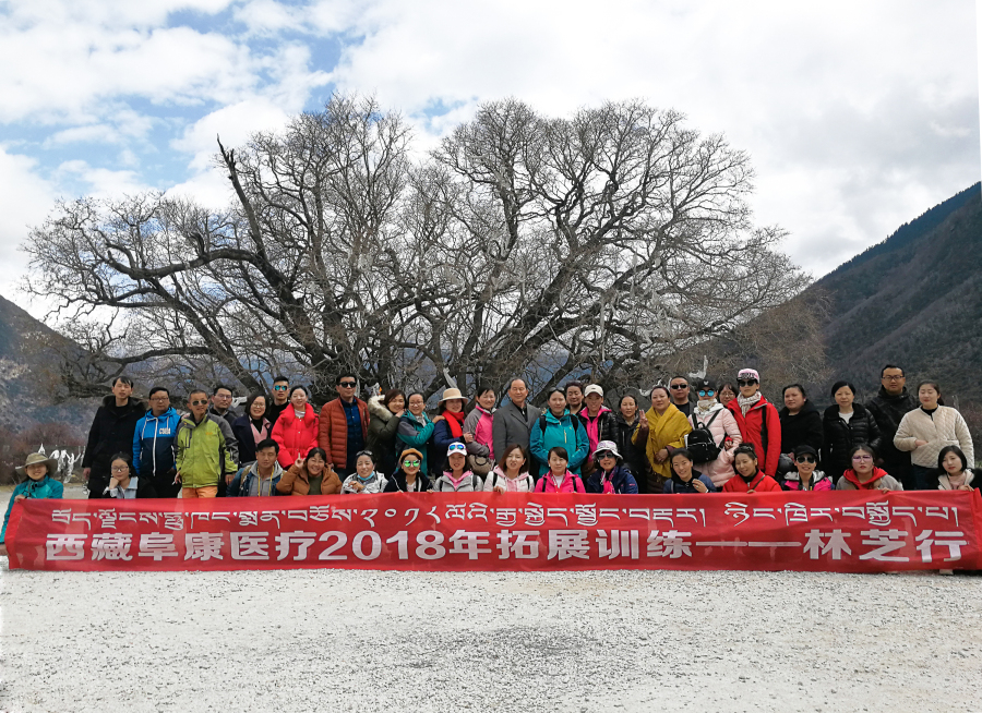 西藏阜康醫(yī)療2018年拓展訓(xùn)練——增強(qiáng)團(tuán)隊(duì)凝聚力、提升團(tuán)隊(duì)協(xié)作能力，更好地為患者服務(wù)