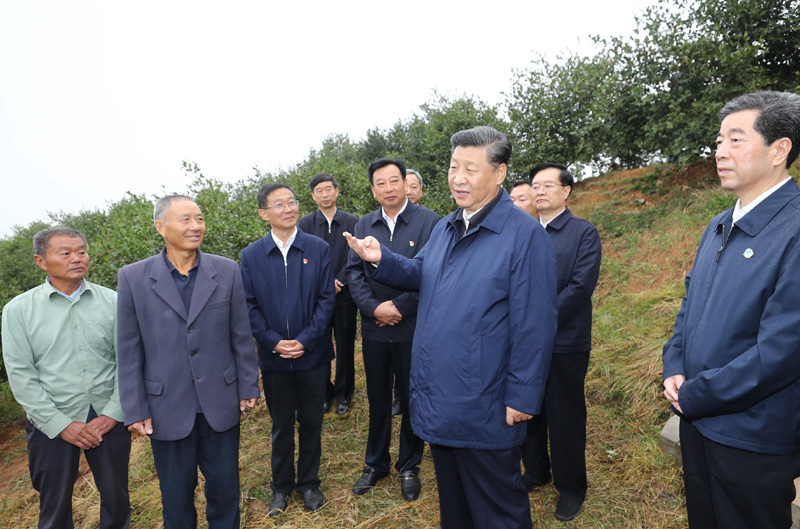 　　9月16日至18日，中共中央總書記、國(guó)家主席、中央軍委主席習(xí)近平在河南考察。這是17日上午，習(xí)近平來(lái)到信陽(yáng)市光山縣槐店鄉(xiāng)司馬光油茶園，同正在勞作的村民和管理人員交流。 新華社記者 鞠鵬 攝