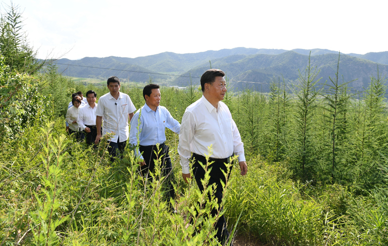 7月15日至16日，中共中央總書記、國(guó)家主席、中央軍委主席習(xí)近平在內(nèi)蒙古考察并指導(dǎo)開(kāi)展“不忘初心、牢記使命”主題教育。這是15日下午，習(xí)近平在赤峰市喀喇沁旗馬鞍山林場(chǎng)林區(qū)，沿著崎嶇的護(hù)林小道察看林木長(zhǎng)勢(shì)。
